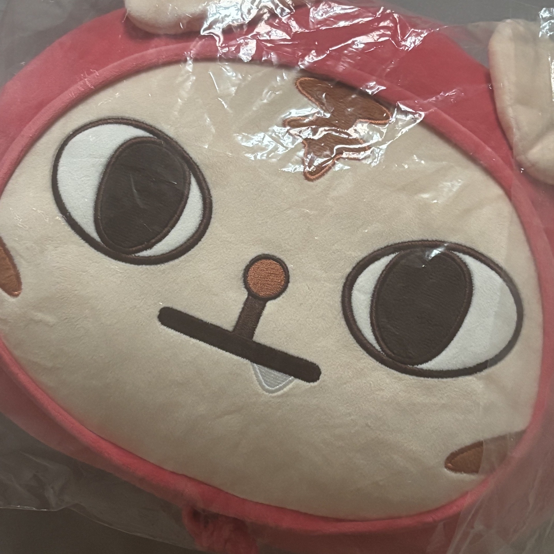 CRAVITY 具廷謨 虎謨 狼謨 抱枕