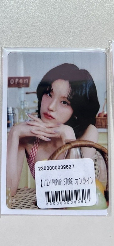 志（找不到對應圖鑑