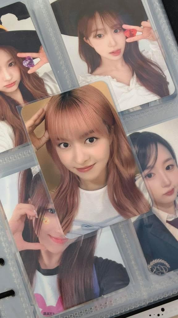 仲夏夜 jyp 幸運卡 狗耳莉 LILY