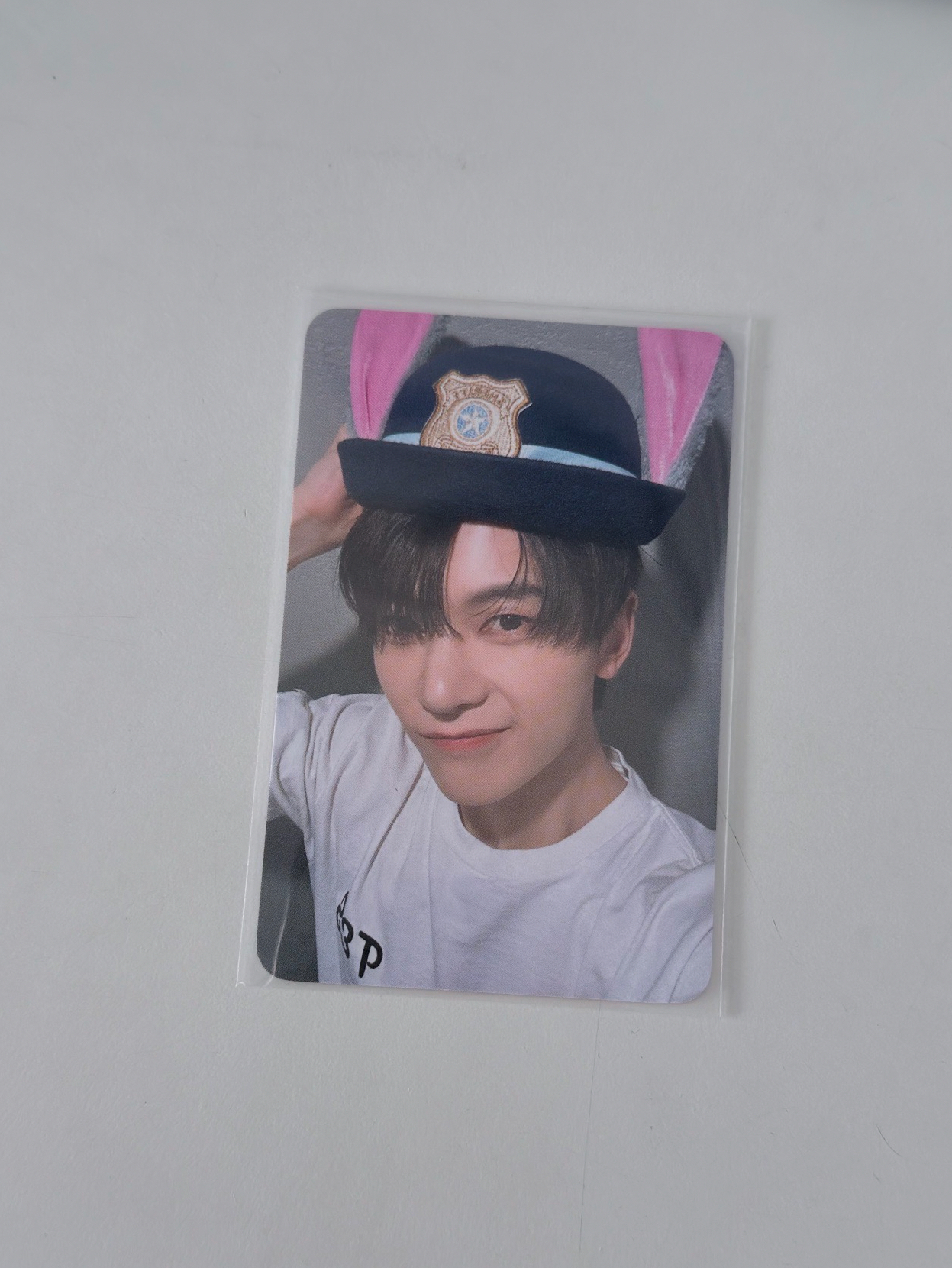 石馬修｜正規一｜wm動物方城市