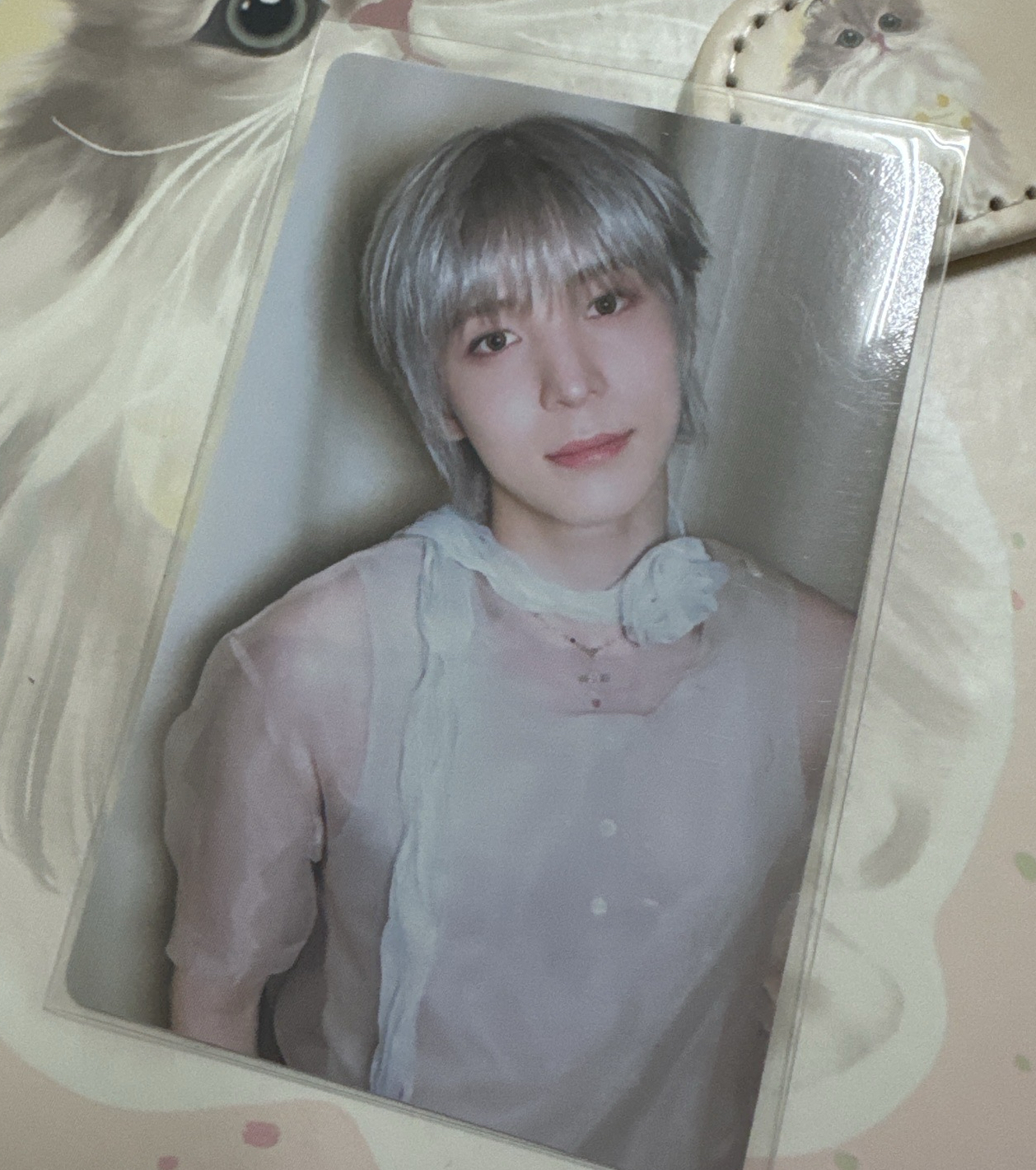 實體很仙的專卡