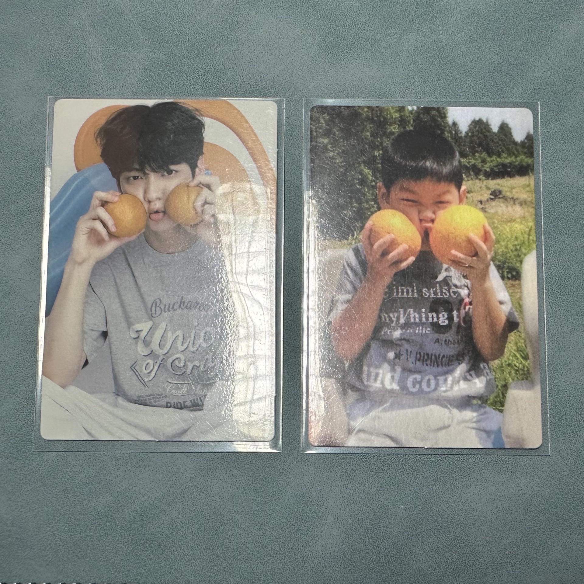 崔秀彬 六期會員禮卡