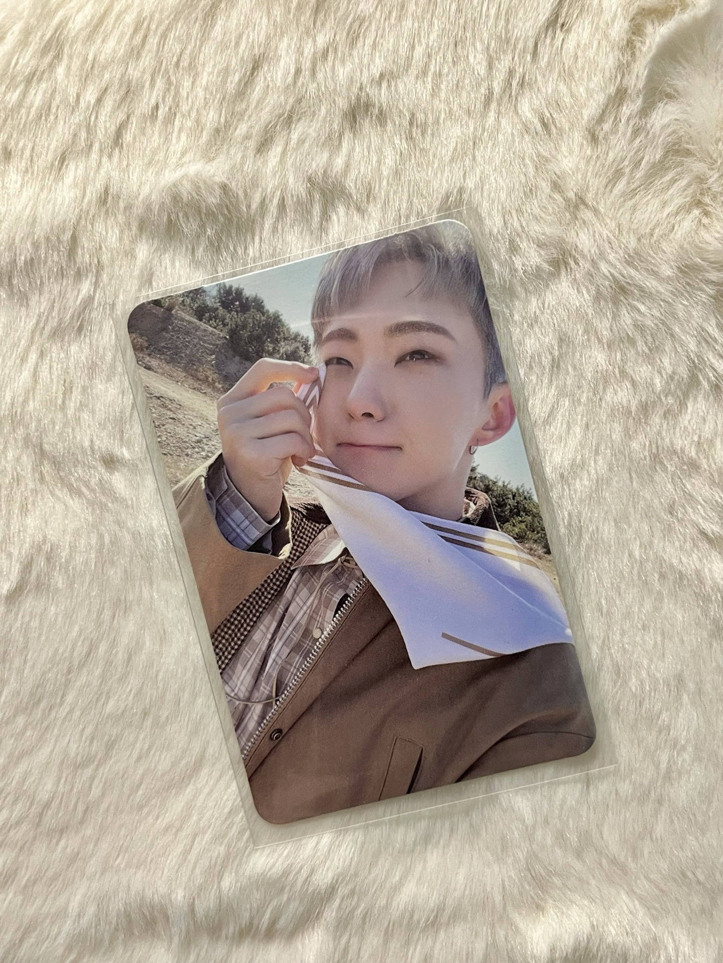 🐯正規四 假哭榮