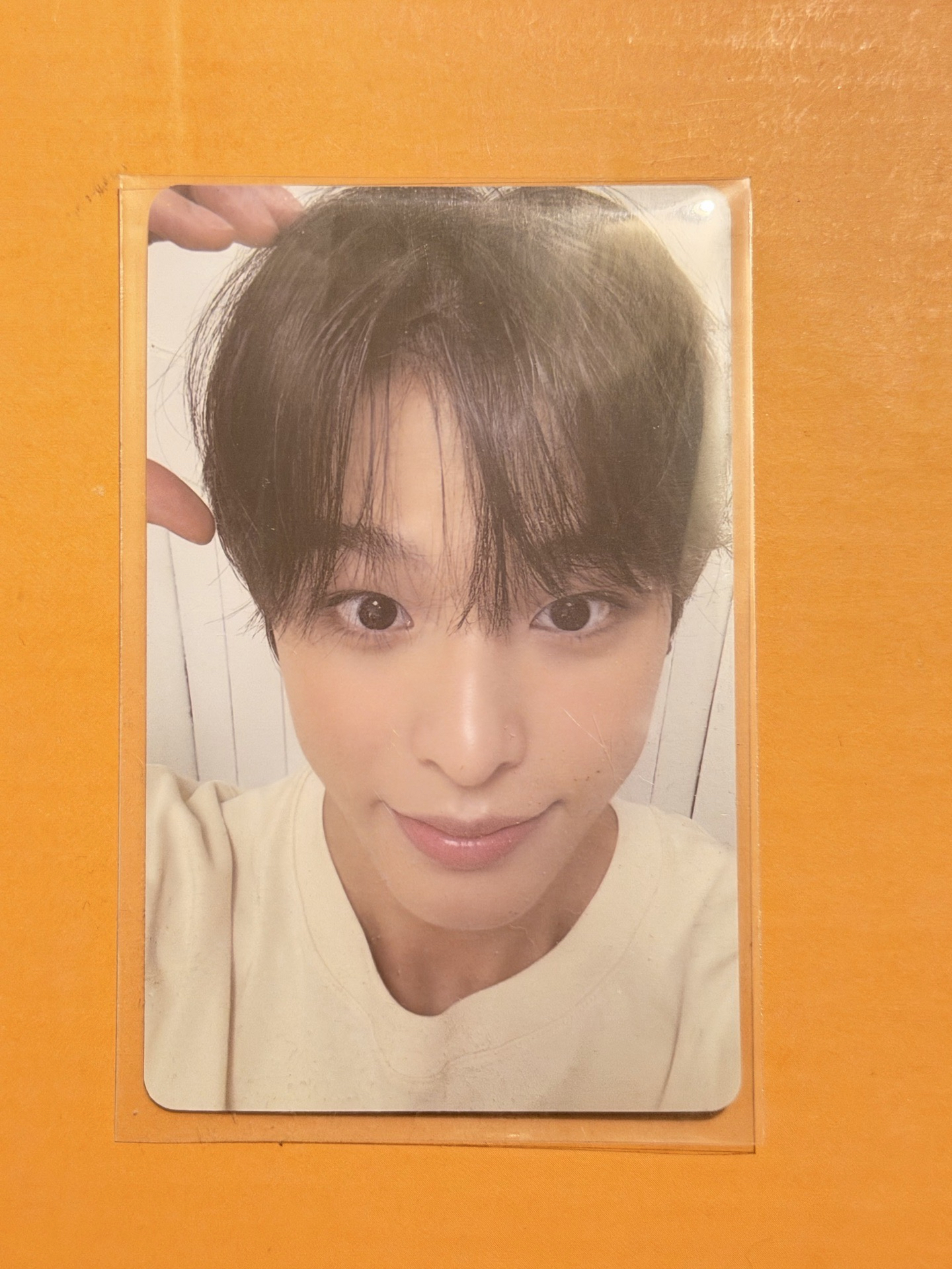 nctwish steady早鳥卡