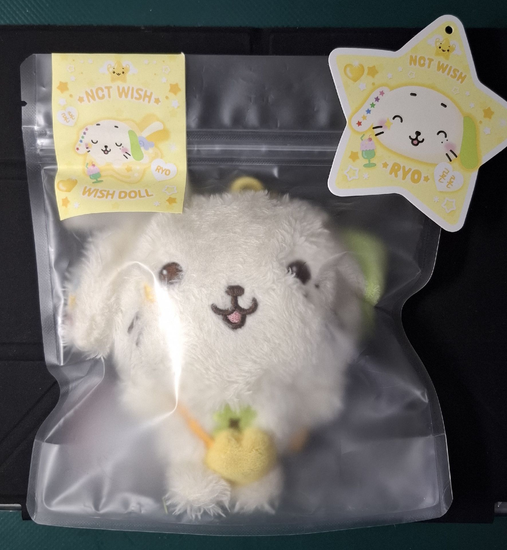 ryo原皮含綁（已出）