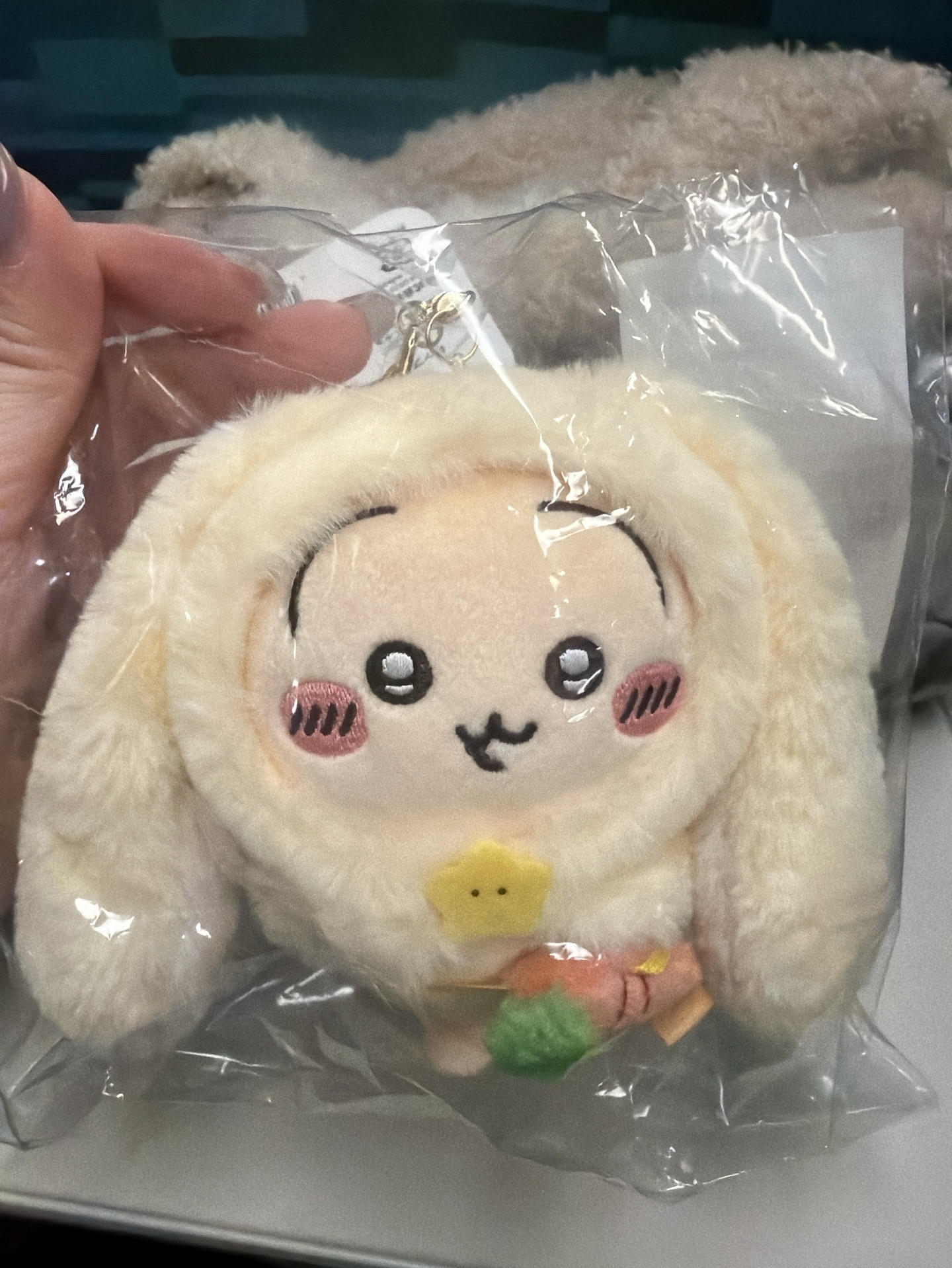 台北限定兔子烏薩奇