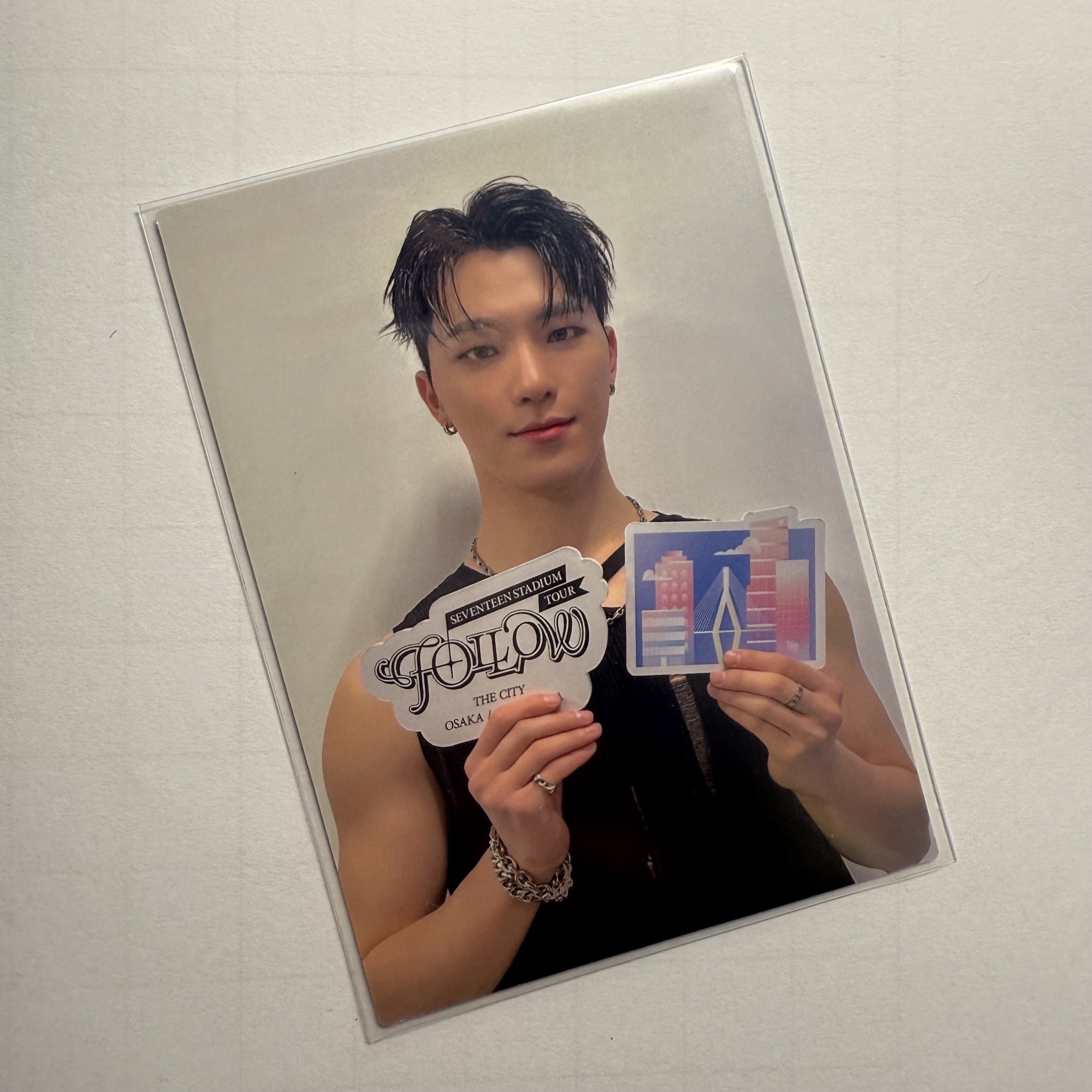 2024 Follow Again集章卡 Dino