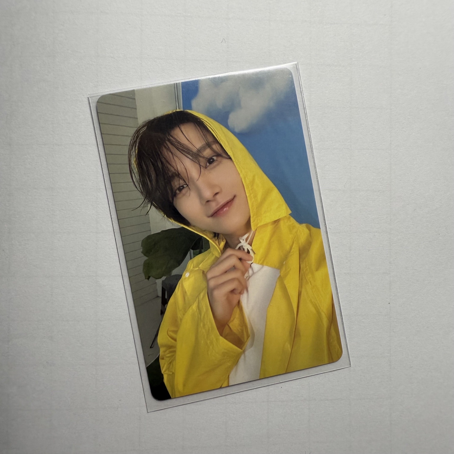 迷11克拉盤 知秀