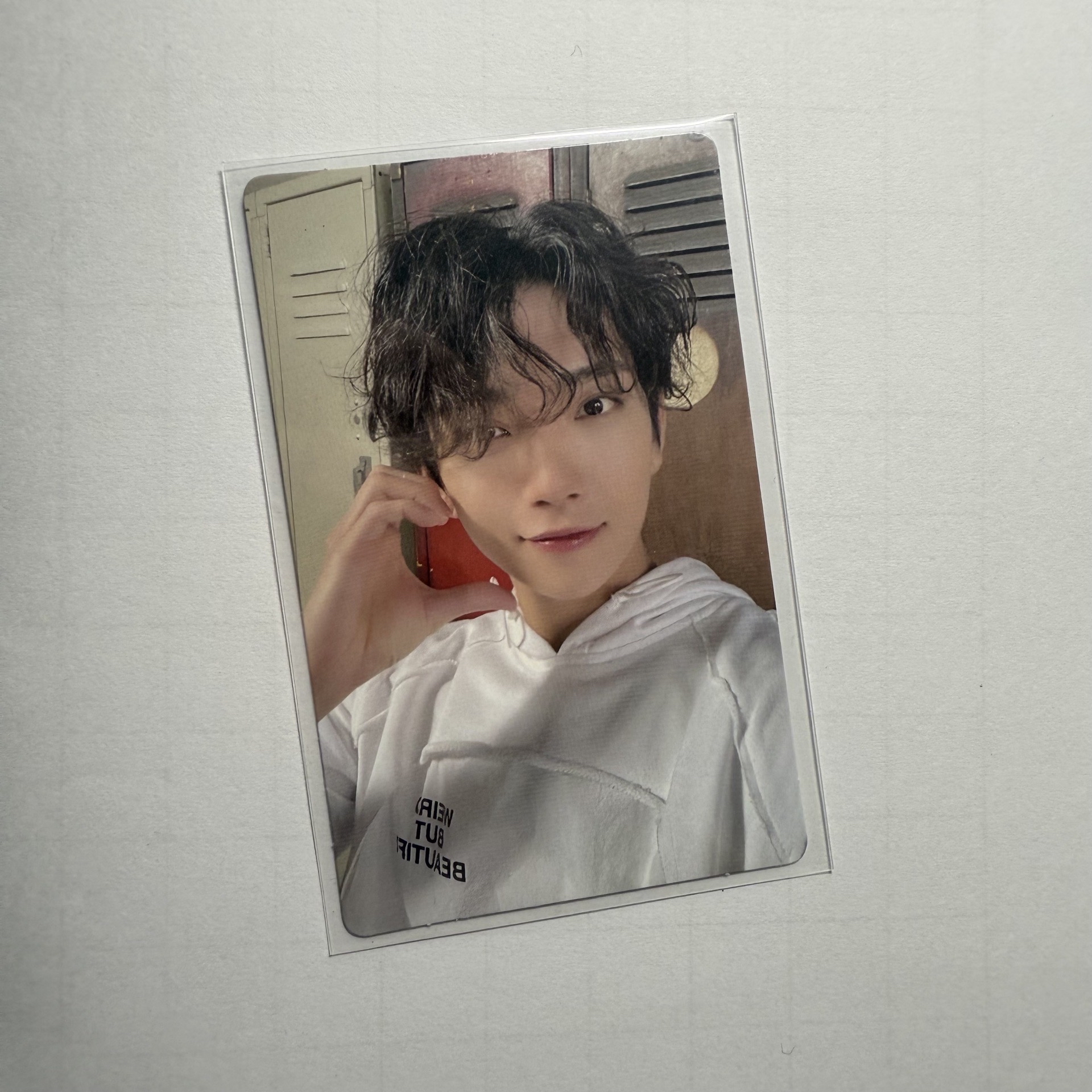 迷10 wvs電子專 知秀