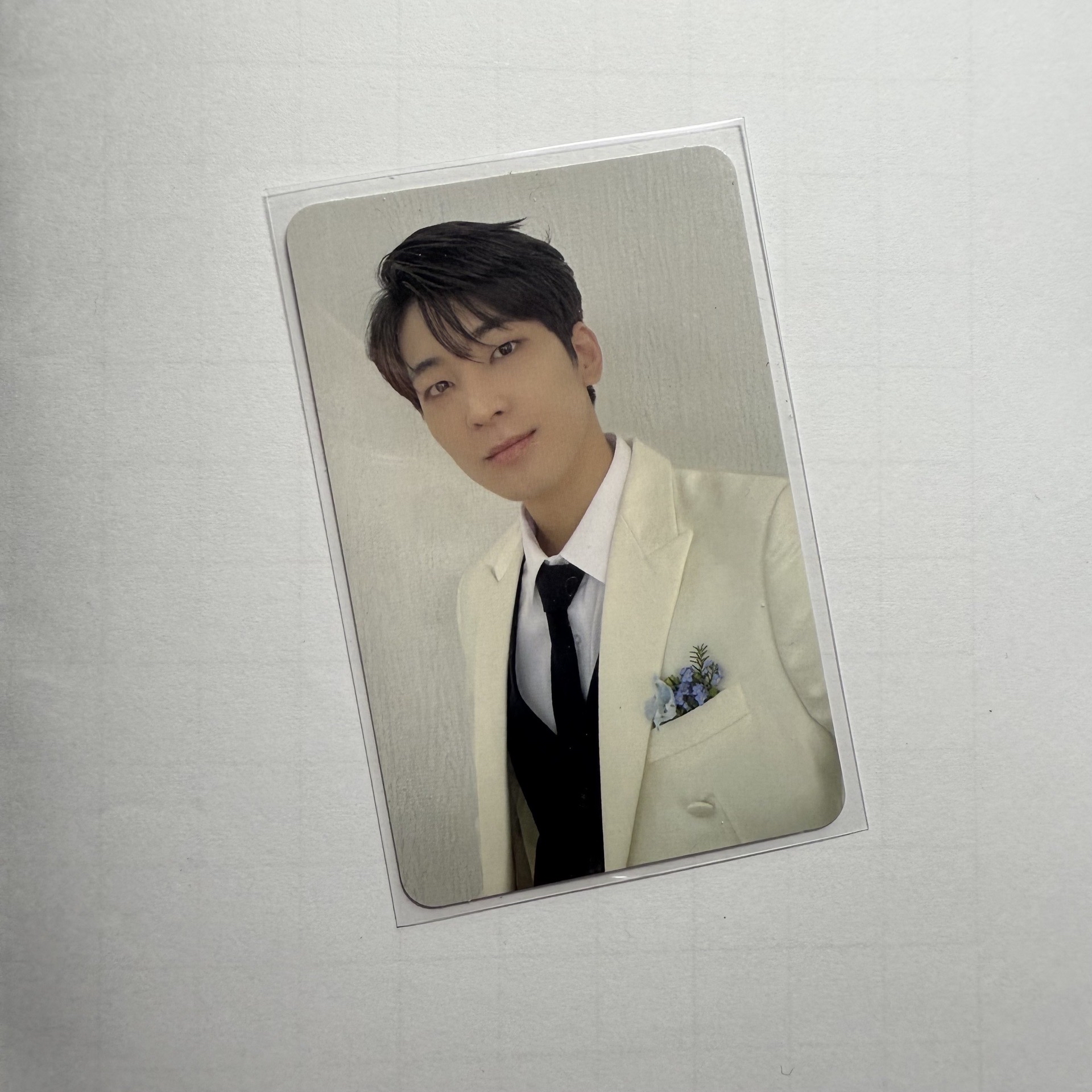 迷10克拉盤隨機卡 圓佑