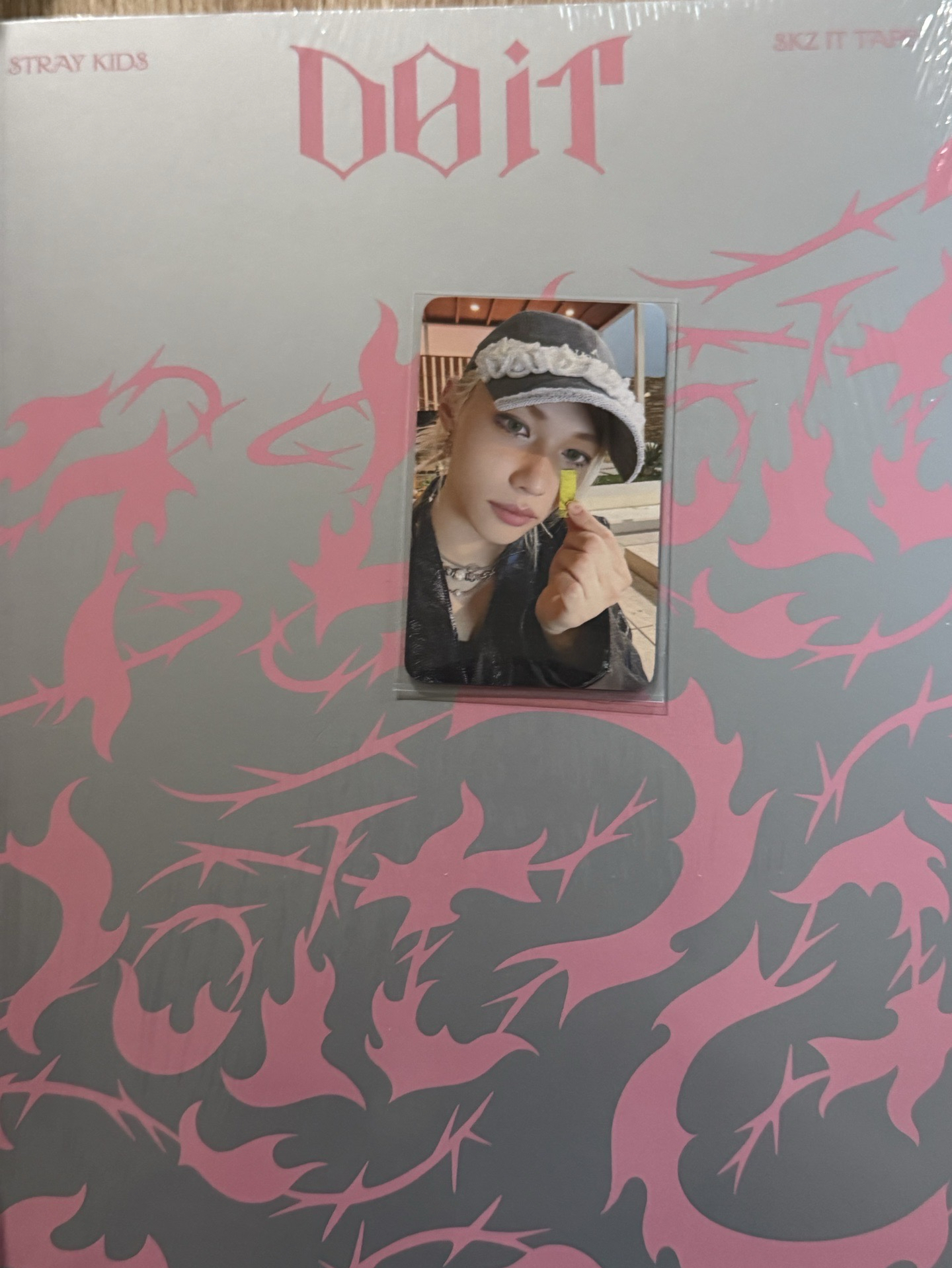（現貨）stray kids SKZ Do it未拆專+fans shop特典卡（李龍馥）