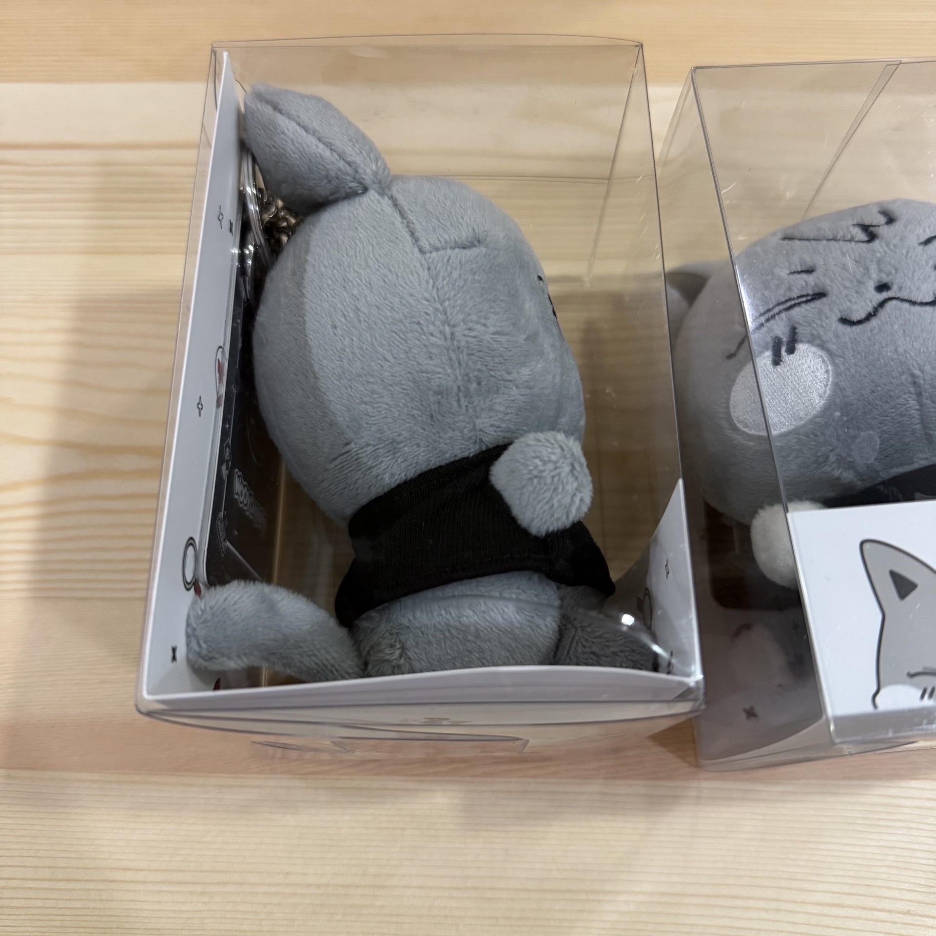 ANITEEZ IN THE CALLING 灰階娃