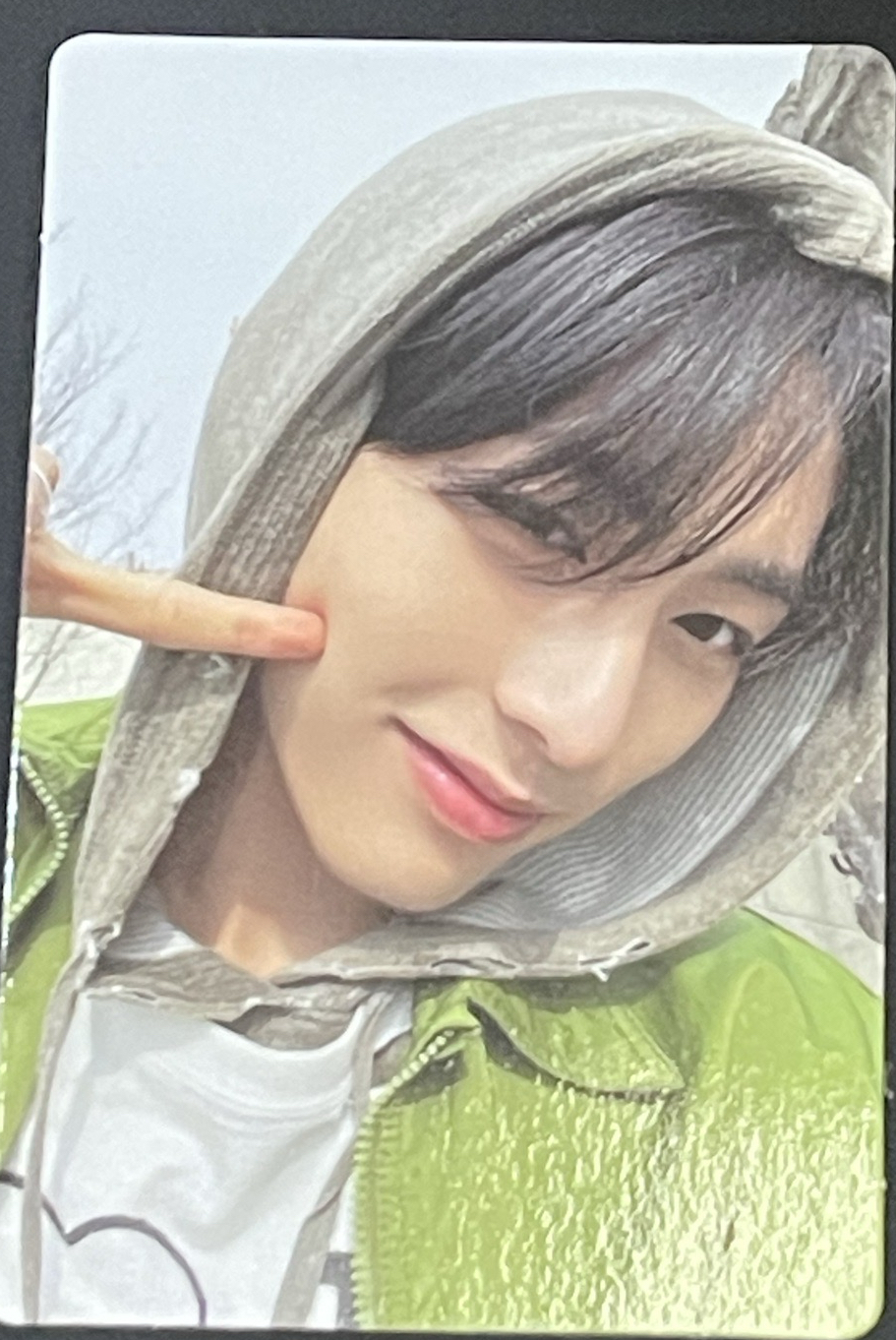 WHO! 專輯卡 who ver.