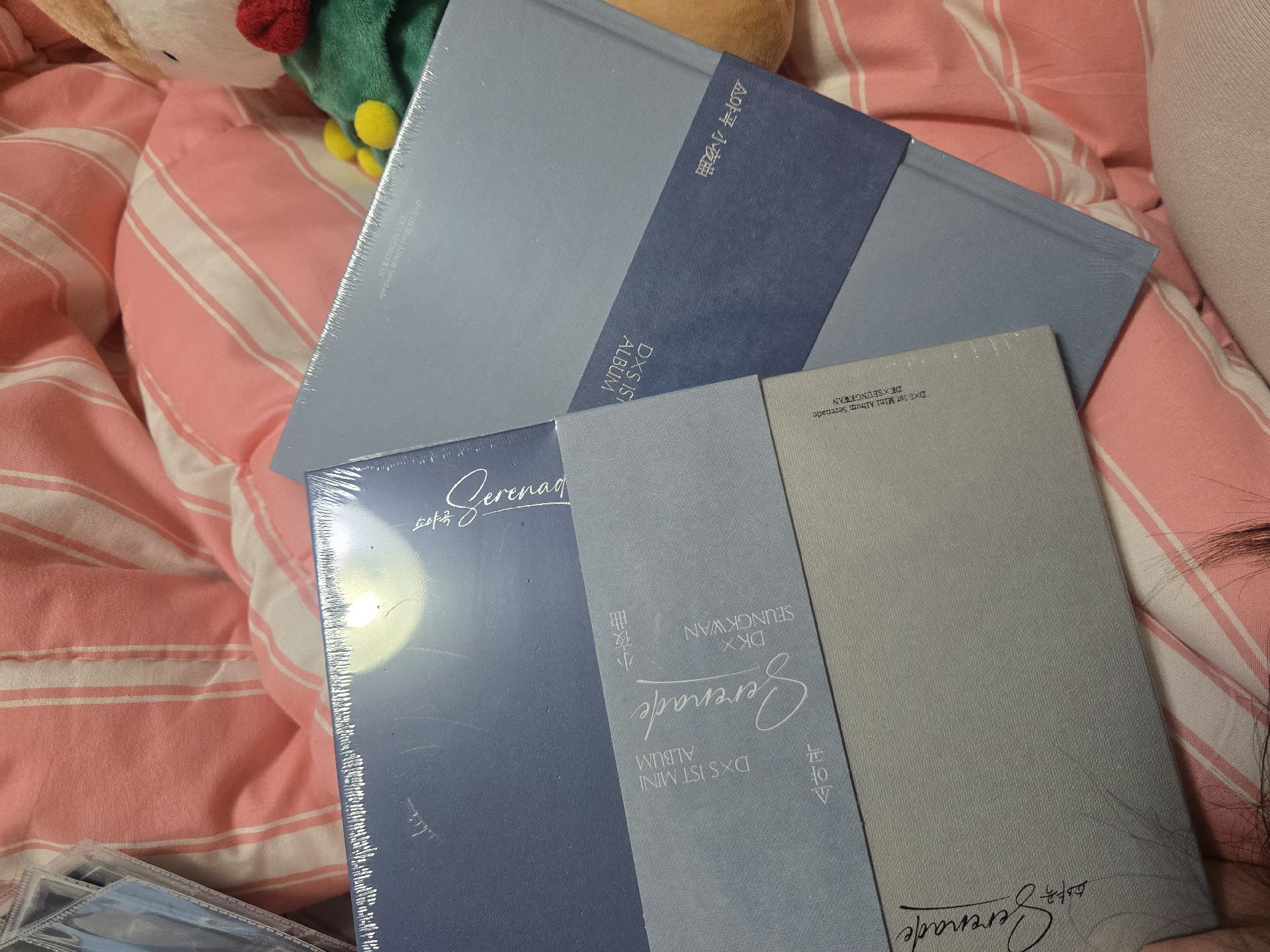 DXS未拆專一套無特典