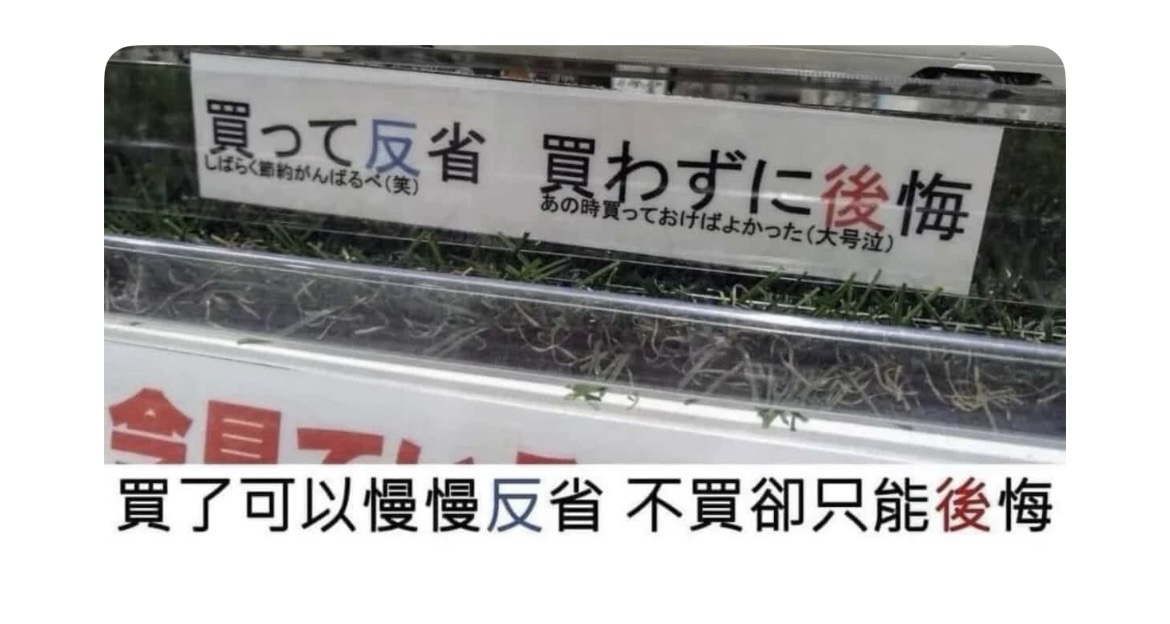 L11（可換卡、可議價）