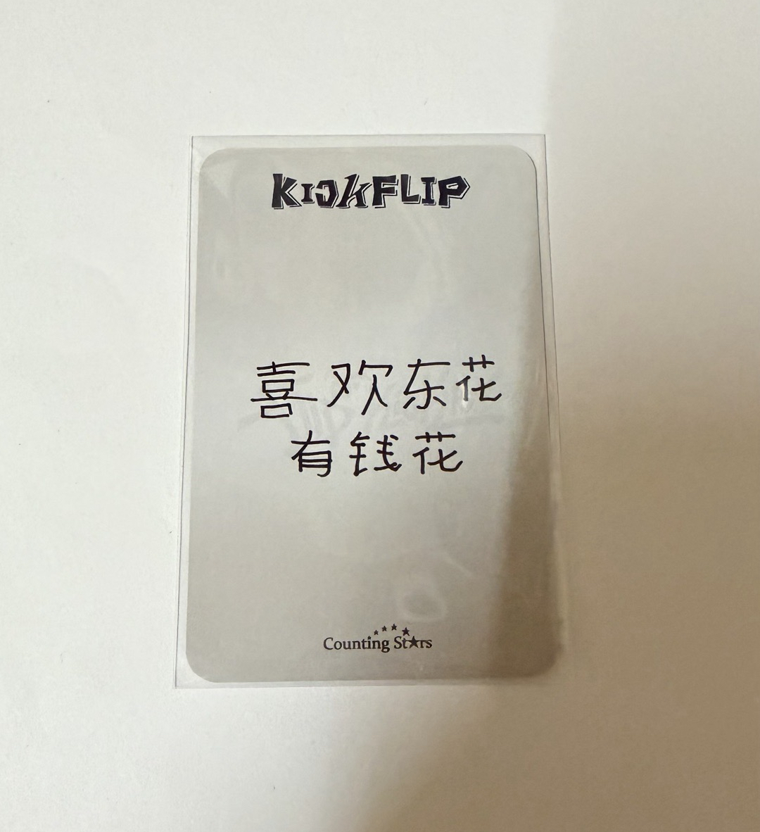 KFP 數星星星之卡比 李東花