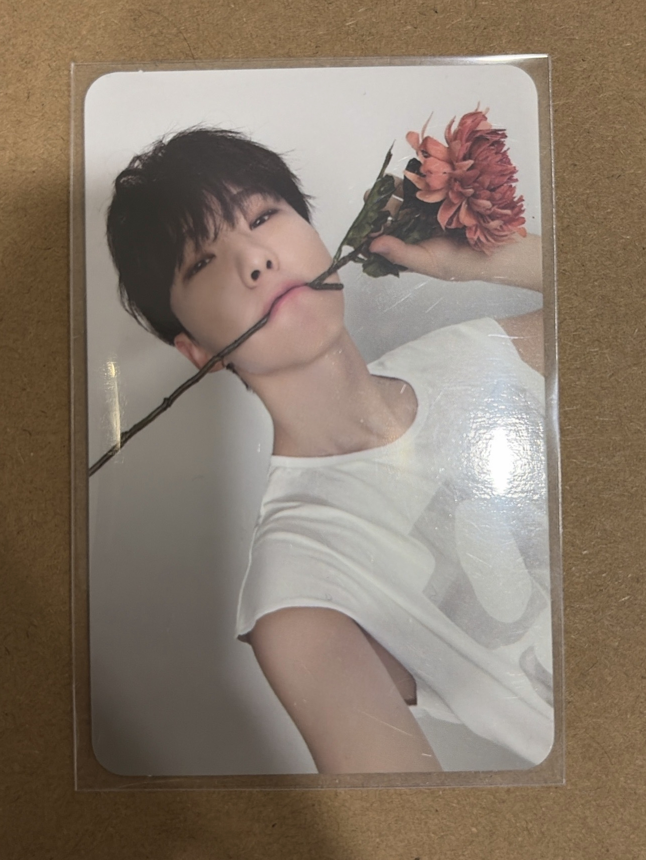 精選專 專輯卡 精選輯｜CARAT ver.