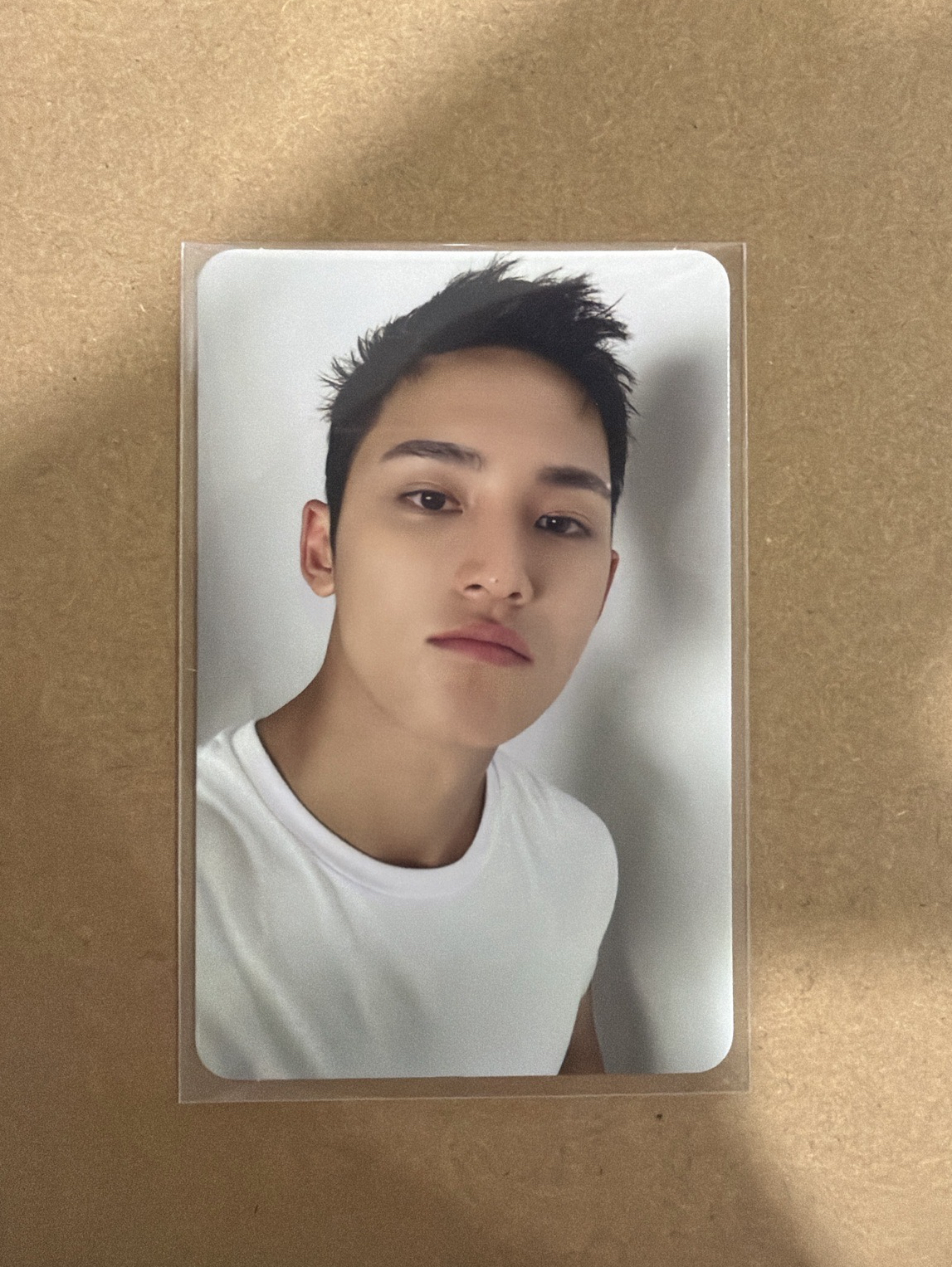 精選專 專輯卡 精選輯｜CARAT ver.