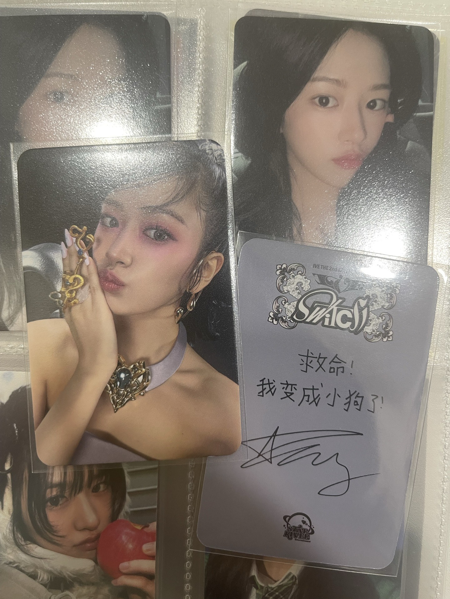 小狗安（中背）