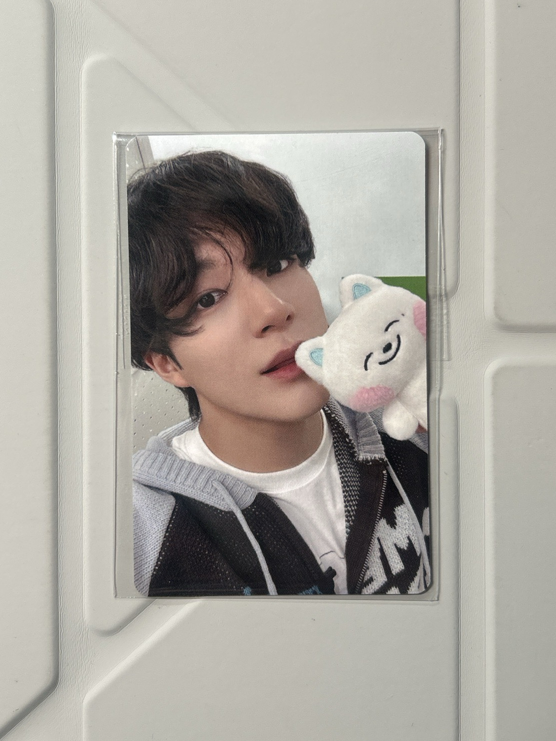 李帝努小卡 jedd