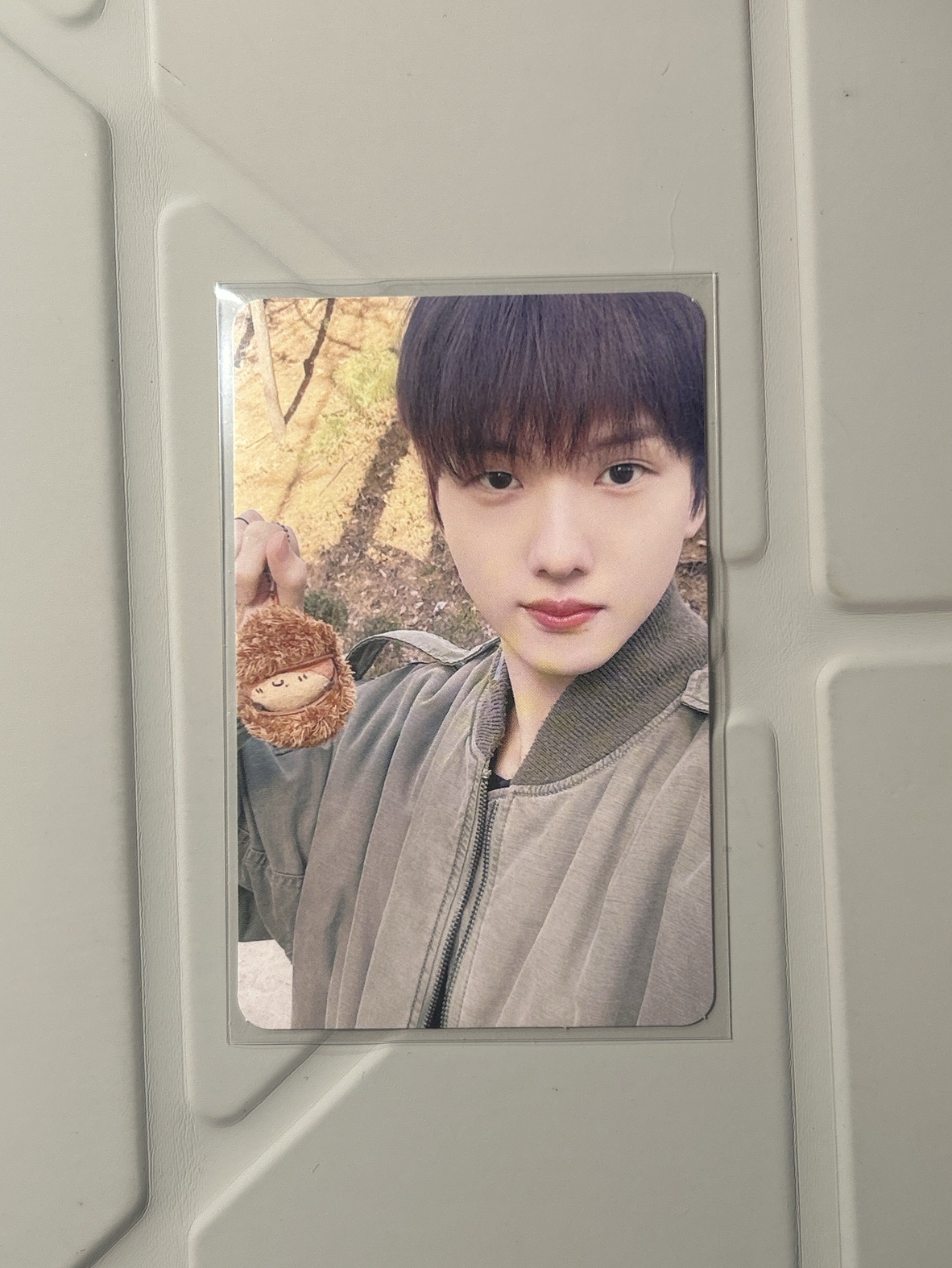 朴志晟小卡 栗子人