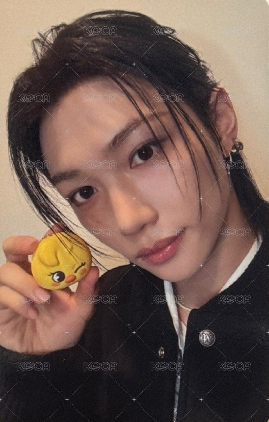 SKZ SKZOO x TAMAGOTCHI 電子雞 周邊卡 FELIX