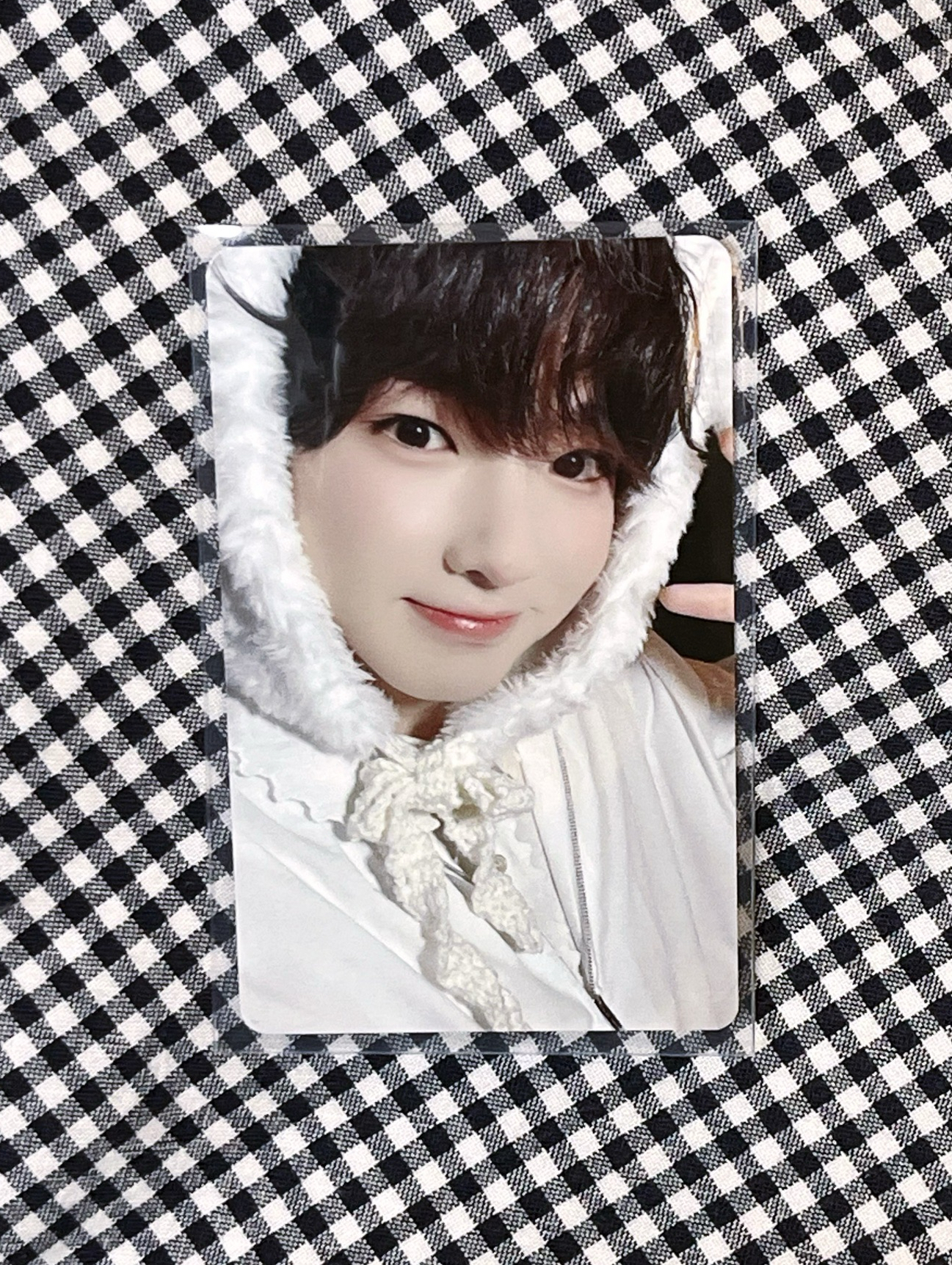 注意！石川熊寶貝出沒！