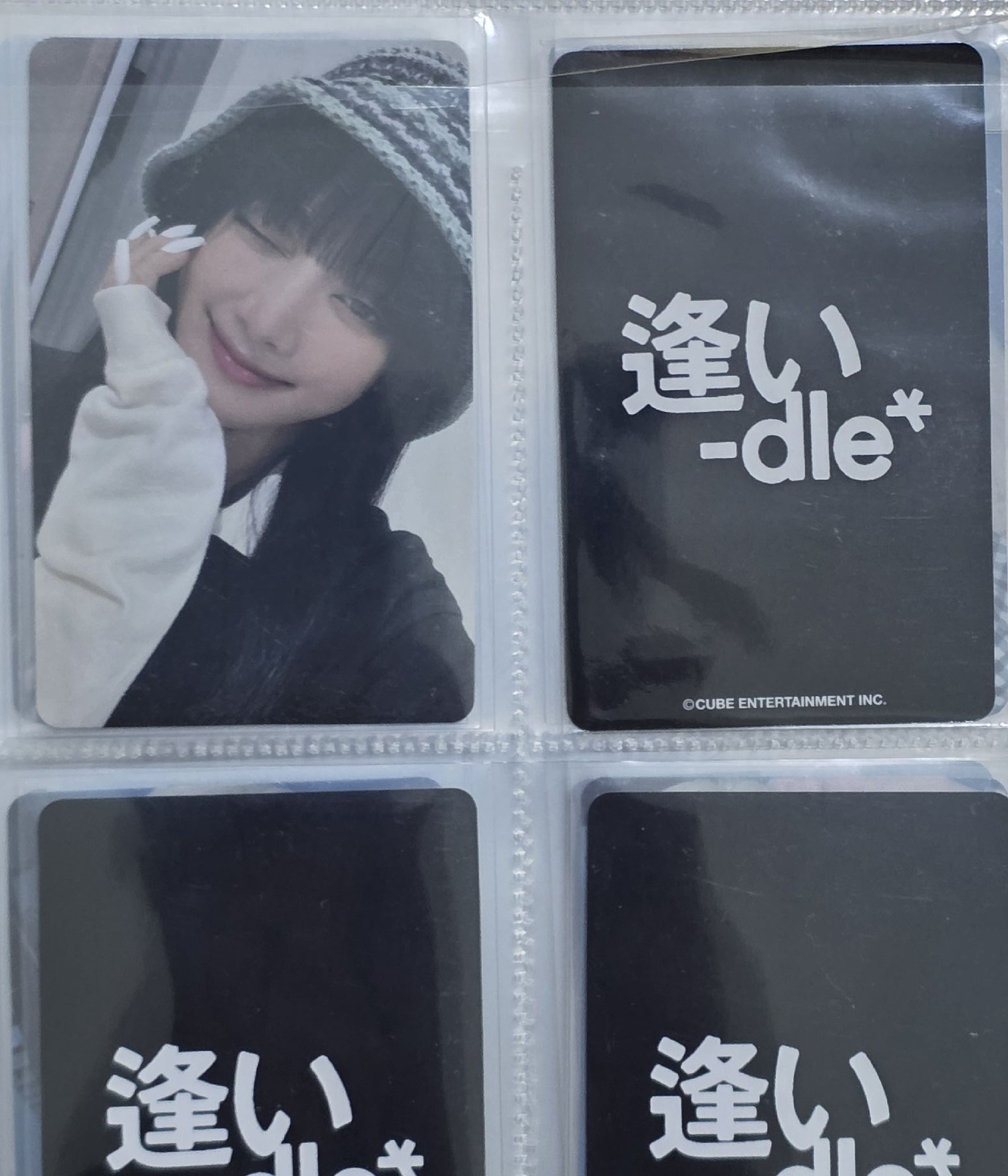 漂亮小貓一起帶回家