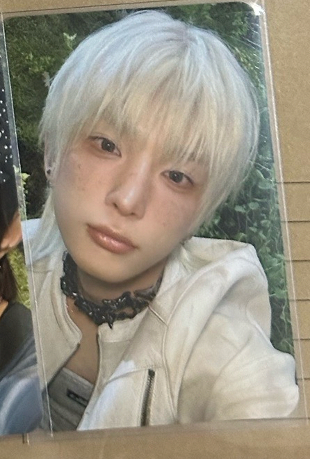 &TEAM Olive Young LD HARUA 含單封