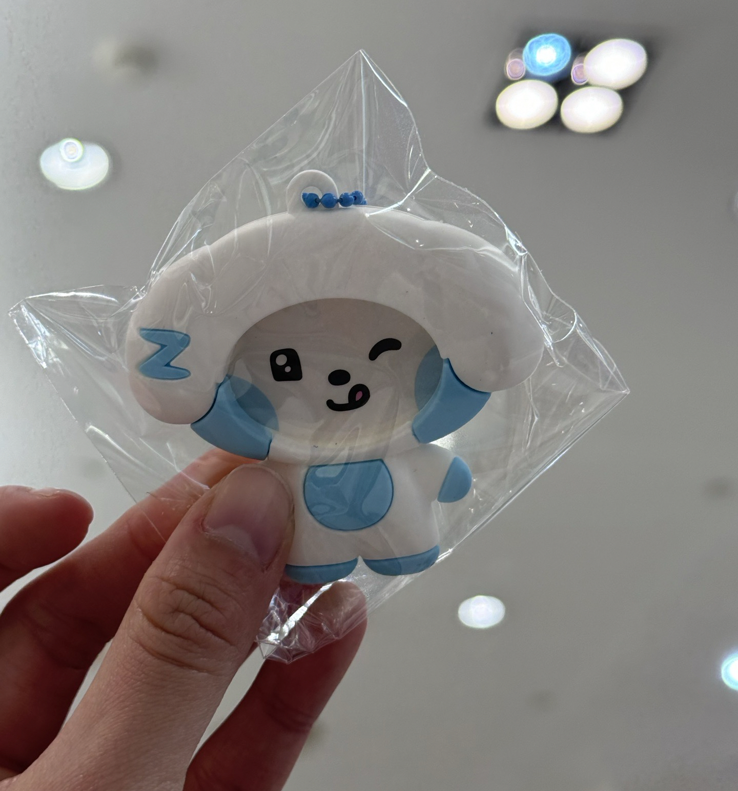 奎尼尼照片吊飾