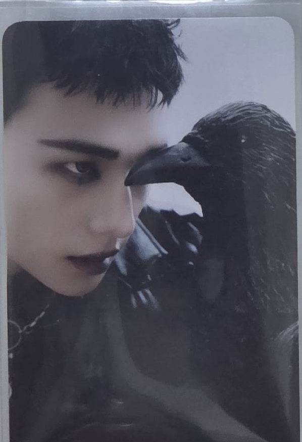 帥哥與烏鴉