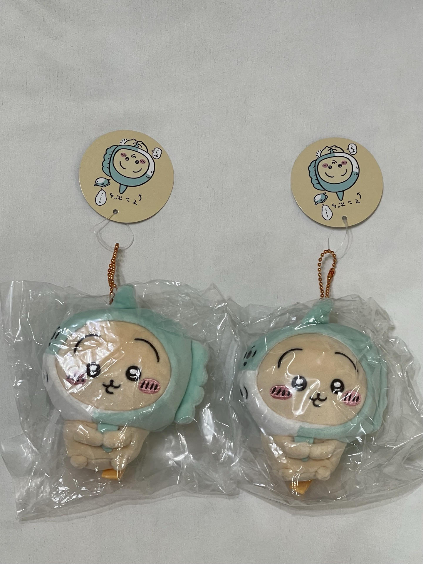 Chiikawa - 翻車魚兔