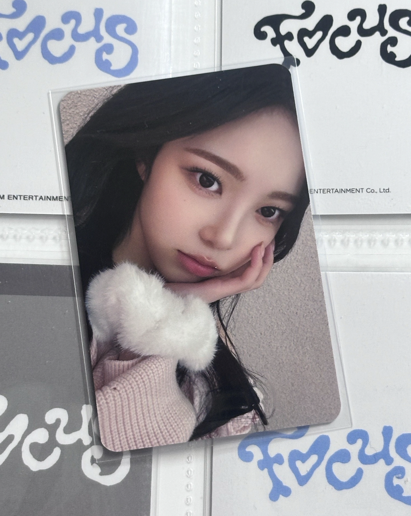 現貨 focus ms簽售 ian