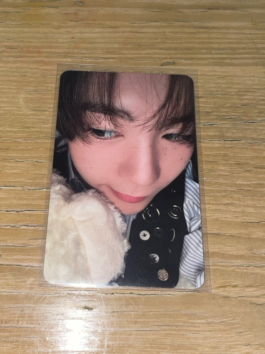 Steady Ryo 紅版專卡