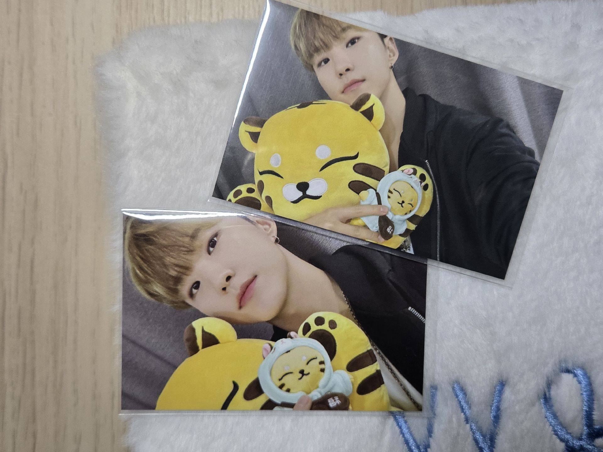 Hoshi 眈眈卡（兩張不拆）