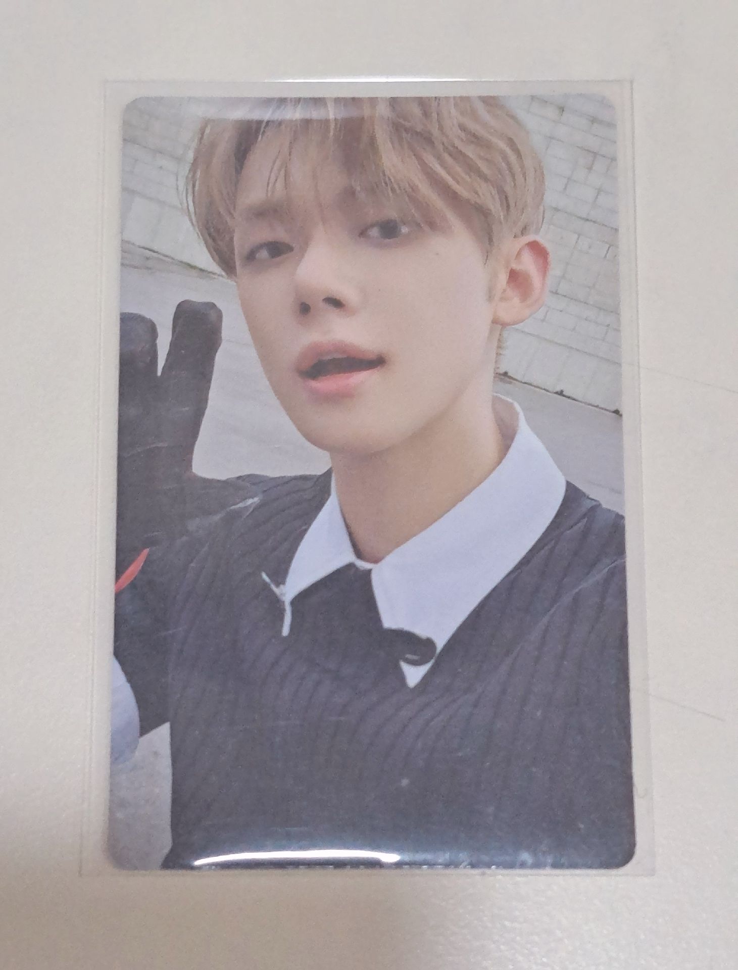 竣迷七貓爪特典