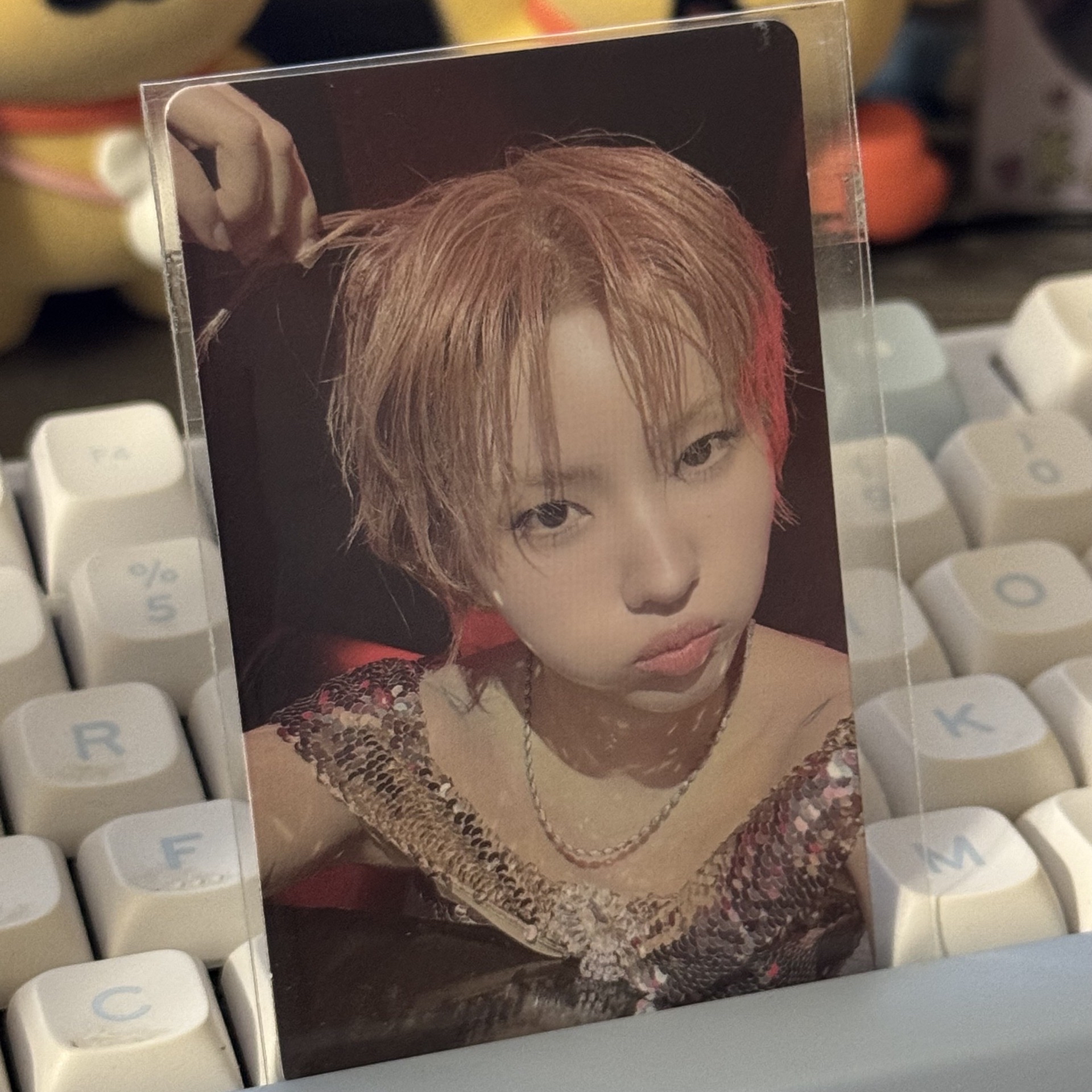 ☆現貨♪We are wvs 簽售卡_娟