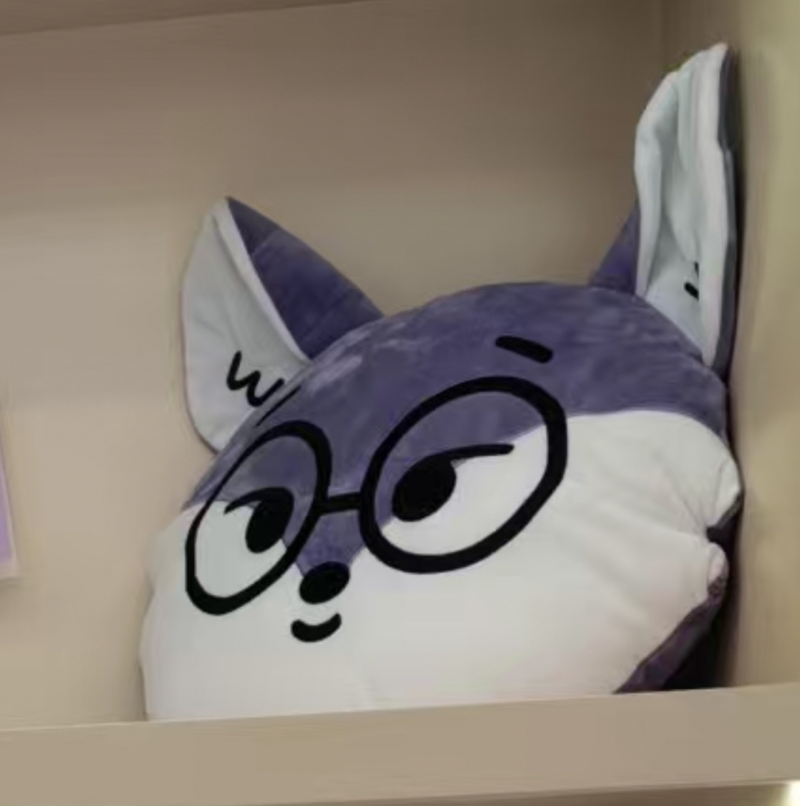 預計下週到貨 抱枕圓