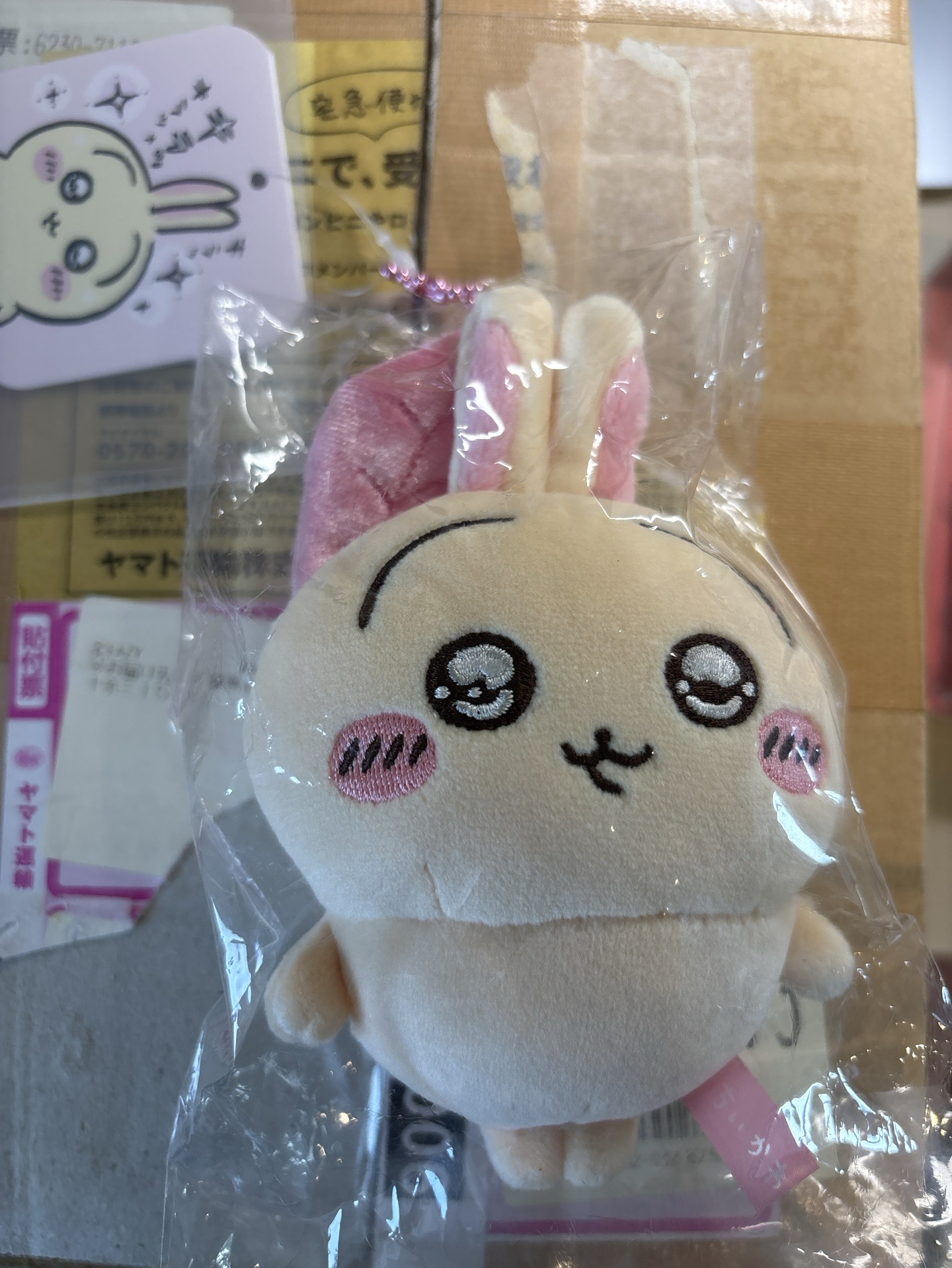 吉伊卡哇 水汪汪兔