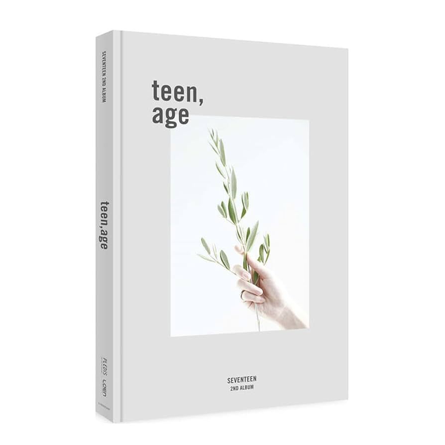 SEVENTEEN 正二 teen, age 白版全專 （近全新）