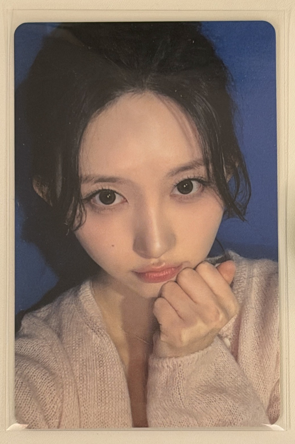 秋 入場卡 愛知限定