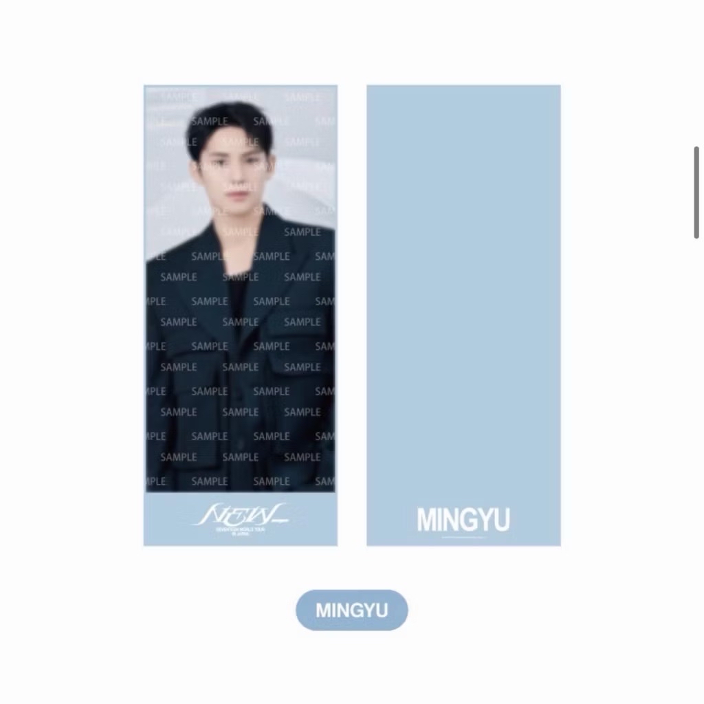 SEVENTEEN 💎New_日巡 珉奎 手幅