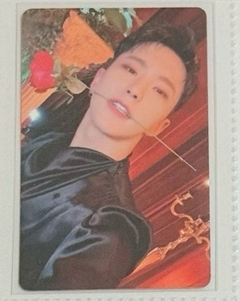 HOSHI 年曆小卡 咬花