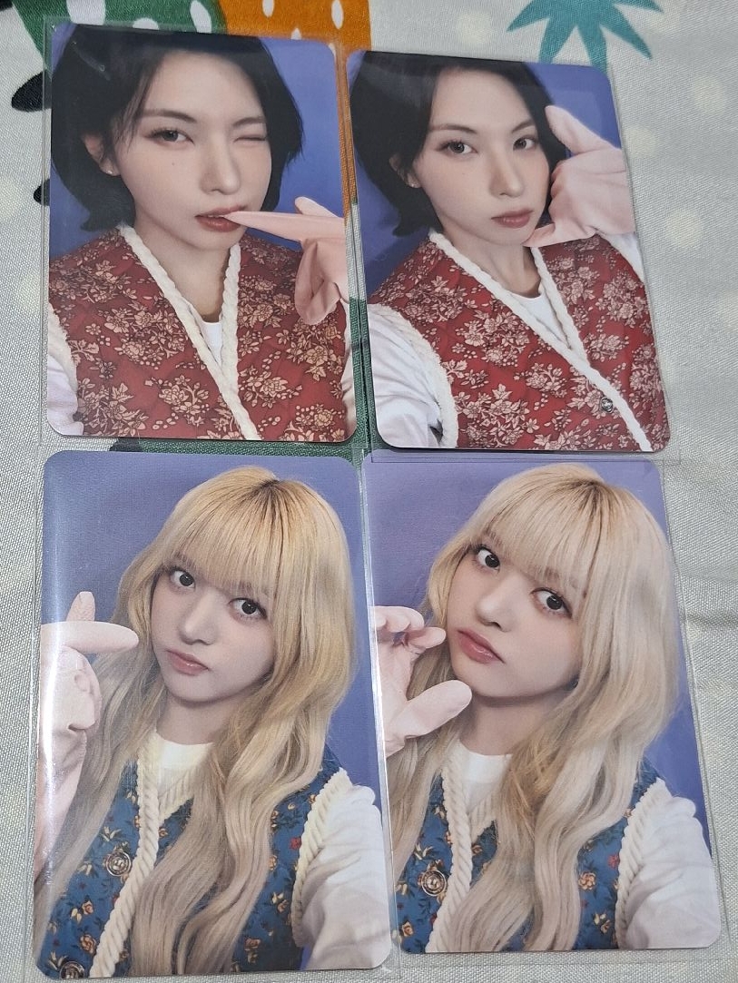 泡菜裴莉 便宜出