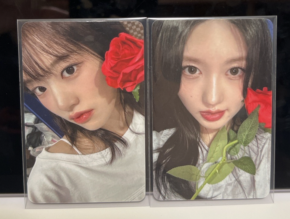 Ive empathy am簽售卡 安 秋 玫瑰花ver