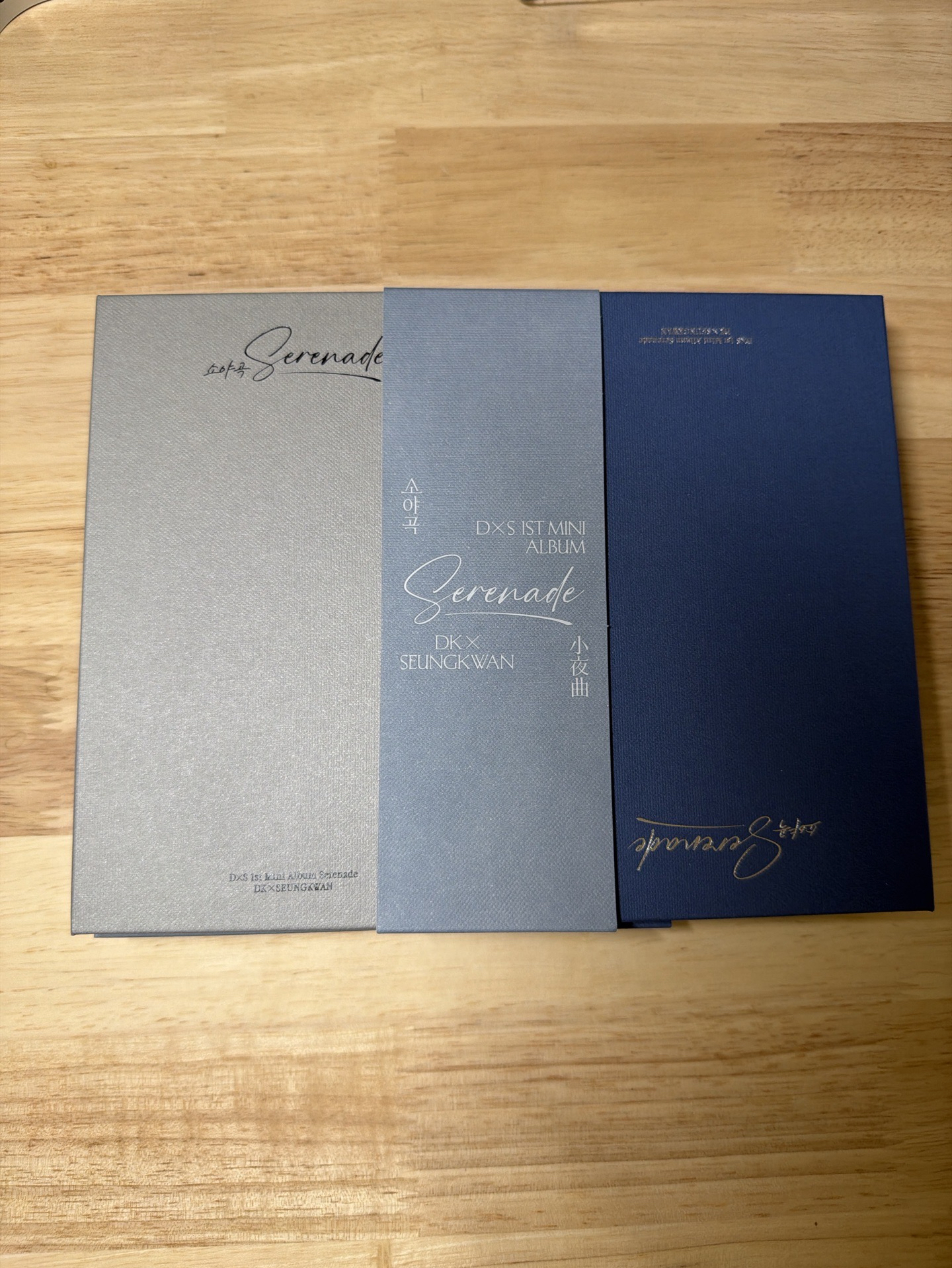 DXS 소연(素戀)/ECHO Ver. 空專