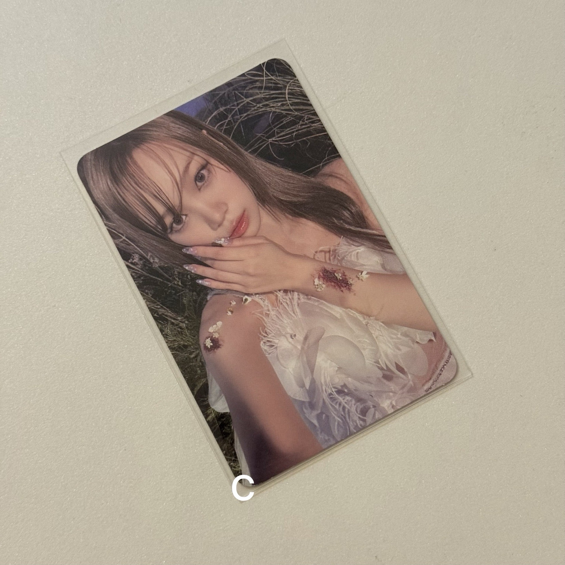 EASY  Vol.2 專卡 采