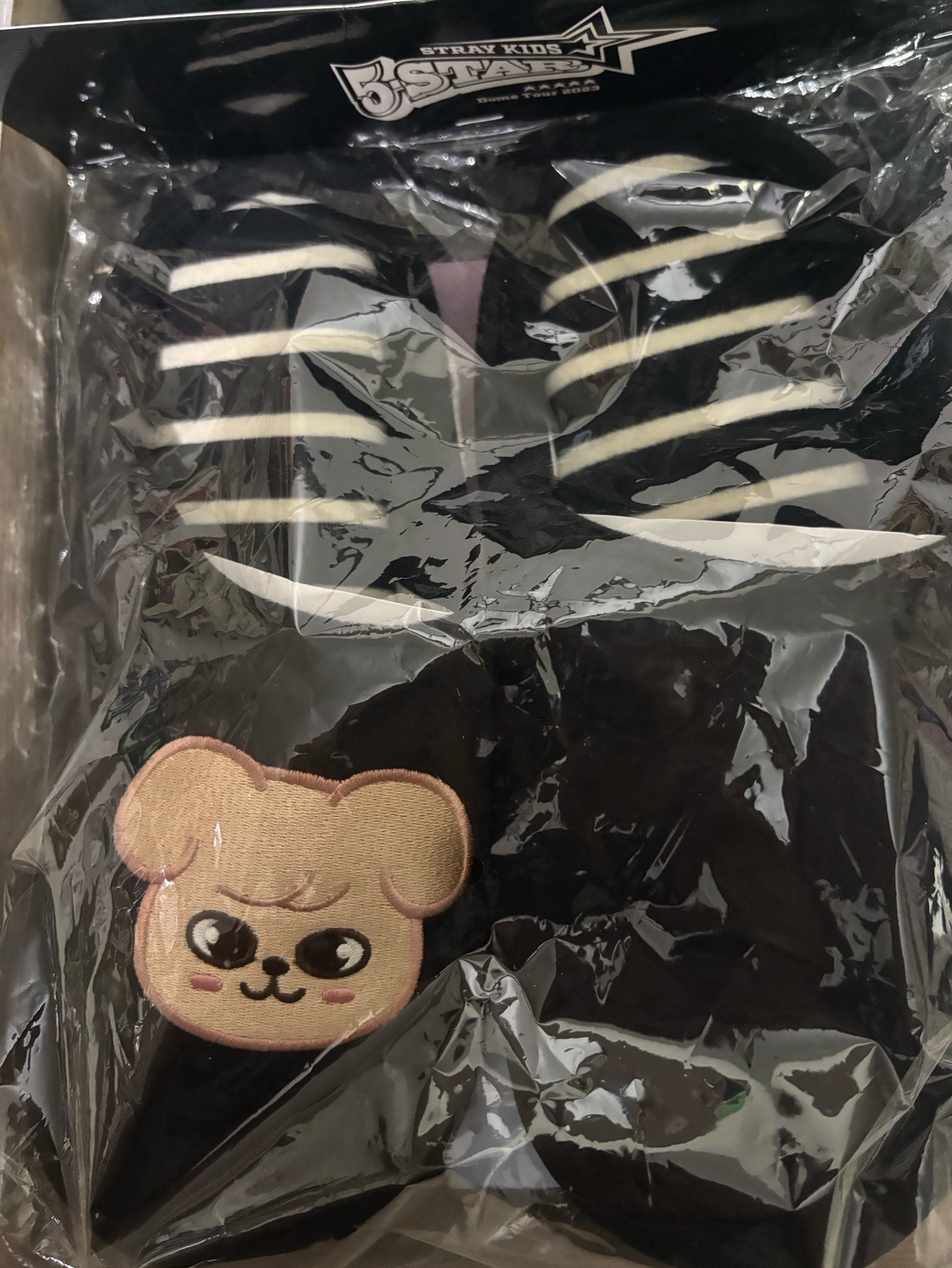 1st 日本巨蛋巡迴 拖鞋 成員設計款 帕皮拖鞋