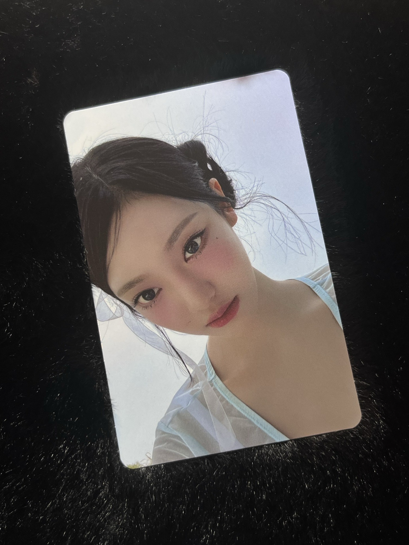 Whiplash 華納 芭蕾寧