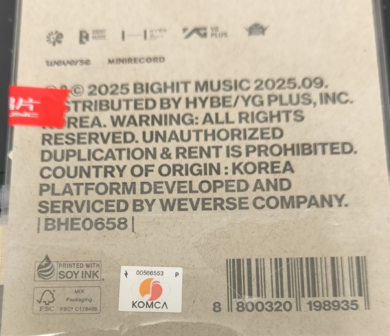 cortis A版電子專 全專